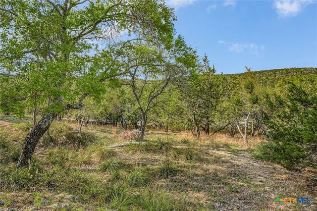 707 Deer Lake Road, Wimberley, TX 78676