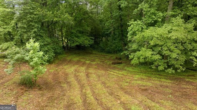 2218 J Warren Road, Cornelia, GA 30531