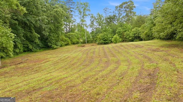 2218 J Warren Road, Cornelia, GA 30531