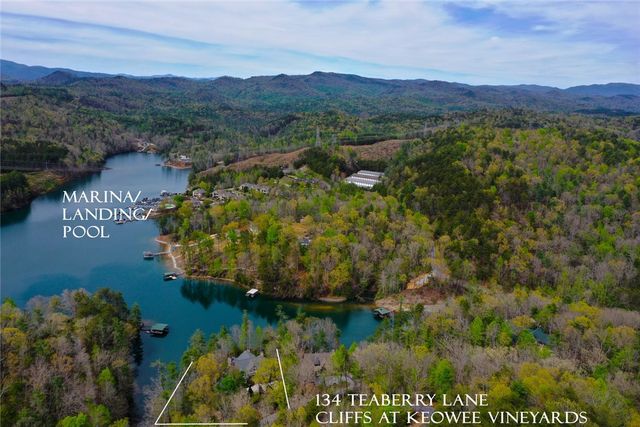 134 Teaberry Lane, Sunset, SC 29685