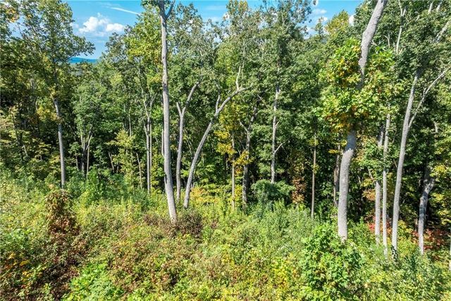 0 Highgrove Drive, Talking Rock, GA 30175