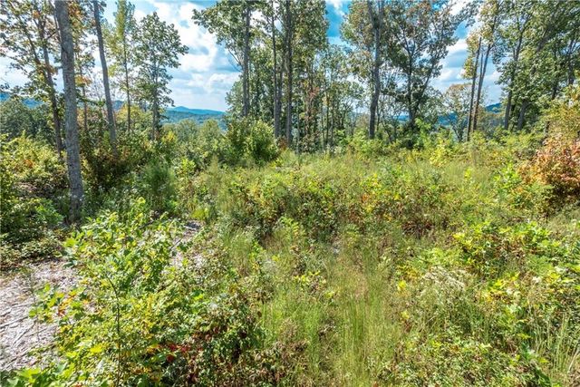 0 Highgrove Drive, Talking Rock, GA 30175