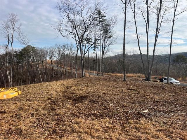 0 Highgrove Drive, Talking Rock, GA 30175