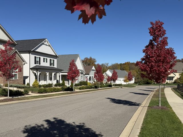 7147 Frances St, Fairview, TN 37062