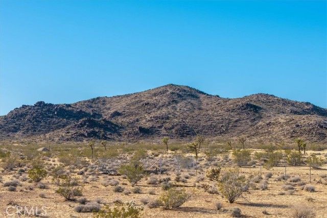 1631 Alta Avenue, Landers, CA 92285