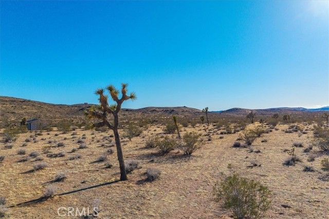 1631 Alta Avenue, Landers, CA 92285