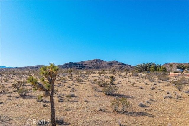 1631 Alta Avenue, Landers, CA 92285