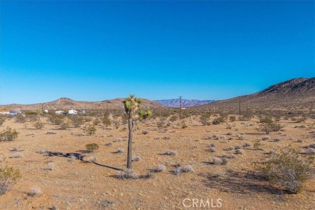 1631 Alta Avenue, Landers, CA 92285