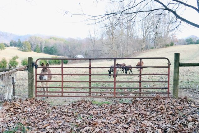 136 Triple H Lane, Jonesborough, TN 37659