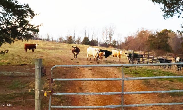 136 Triple H Lane, Jonesborough, TN 37659