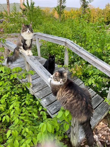 161 Concord Road, Keene, NH 03431