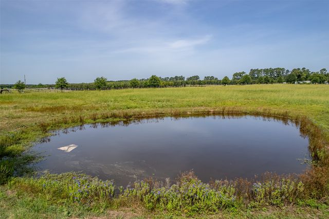 TBD VZ County Road 1516, Van, TX 75790