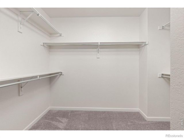 2585 Trio Falls Drive, Loveland, CO 80538