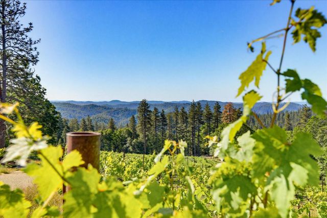 19698 View Forever Ln, Grass Valley, CA 95945