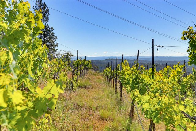 19698 View Forever Ln, Grass Valley, CA 95945