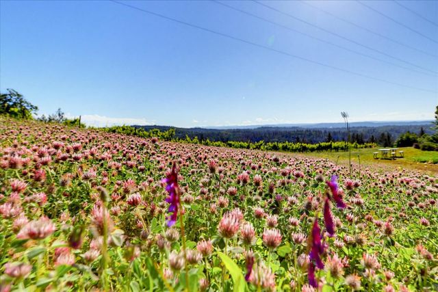 19698 View Forever Ln, Grass Valley, CA 95945