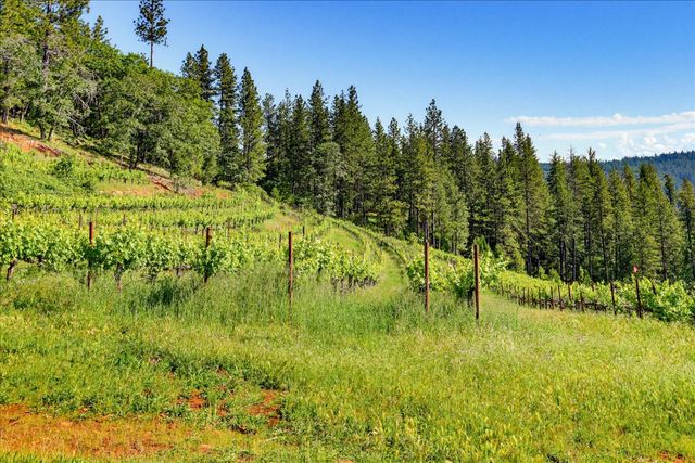 19698 View Forever Ln, Grass Valley, CA 95945
