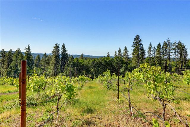 19698 View Forever Ln, Grass Valley, CA 95945