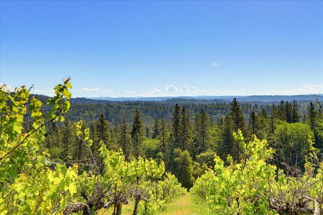 19698 View Forever Ln, Grass Valley, CA 95945