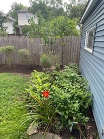 708 Carpenter Avenue, Oak Park, IL 60304