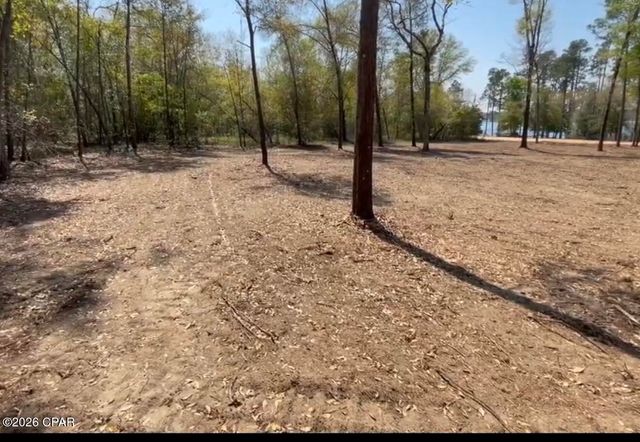 TBD Silver Lake N, Marianna, FL 32448