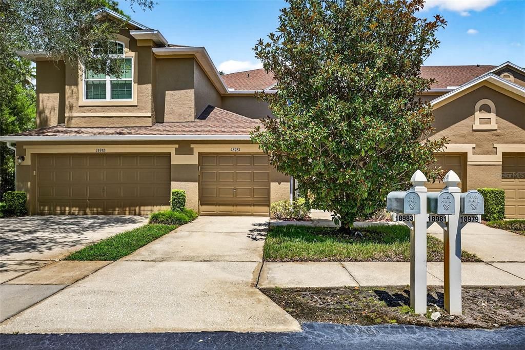 18981 DUQUESNE DRIVE, Tampa, FL 33647