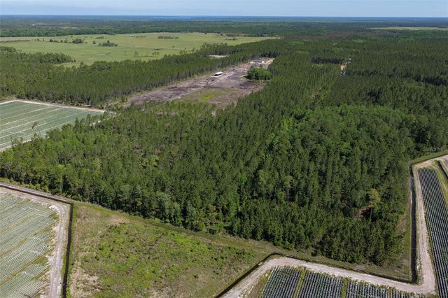 15539 COUNTY RD 305, Bunnell, FL 32110