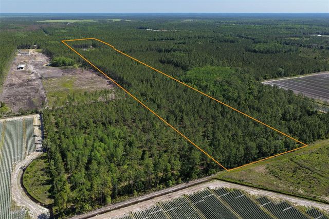 15539 COUNTY RD 305, Bunnell, FL 32110
