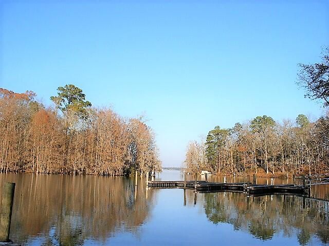 202 Trillium Court, Santee, SC 29142