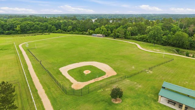 11599 Renaissance Drive, Montgomery, TX 77356