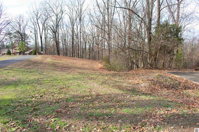 1535 Ridge Rd, Gilbertsville, KY 42044