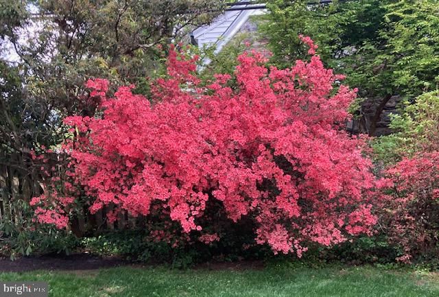 1039 WELLINGTON RD, Jenkintown, PA 19046