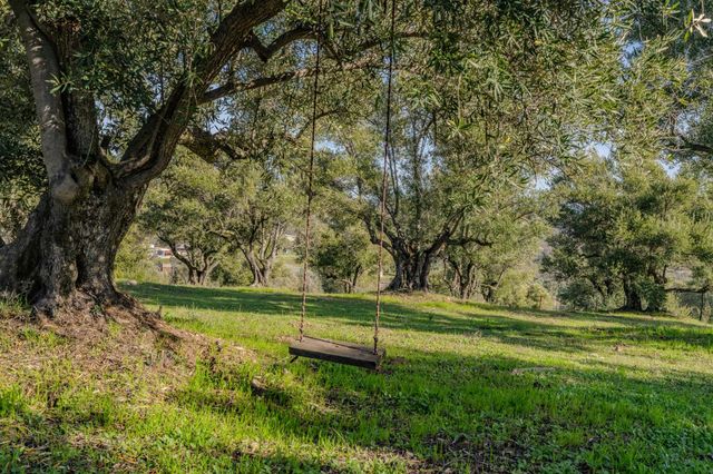 444 Saddle Ridge, Valley Springs, CA 95252