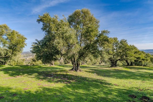 444 Saddle Ridge, Valley Springs, CA 95252