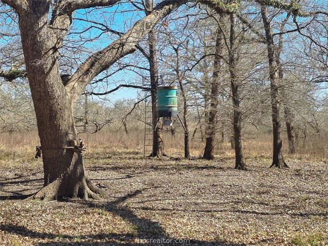 17668 Highway 21 W, North Zulch, TX 77872
