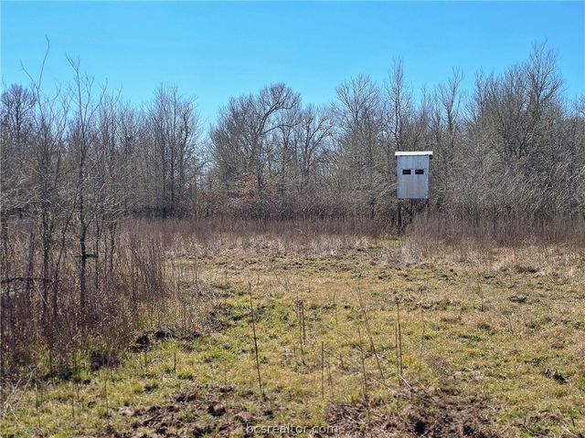 17668 Highway 21 W, North Zulch, TX 77872