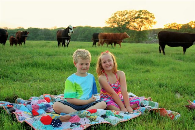 25+ ac. CR 102 Road, Axtell, TX 76673