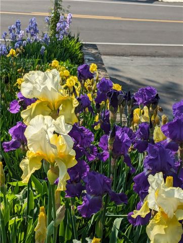 4140 County Road 16, Canandaigua Town, NY 14424