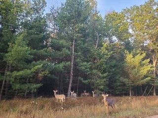 0 Buffalo Trail, Alger, MI 48610