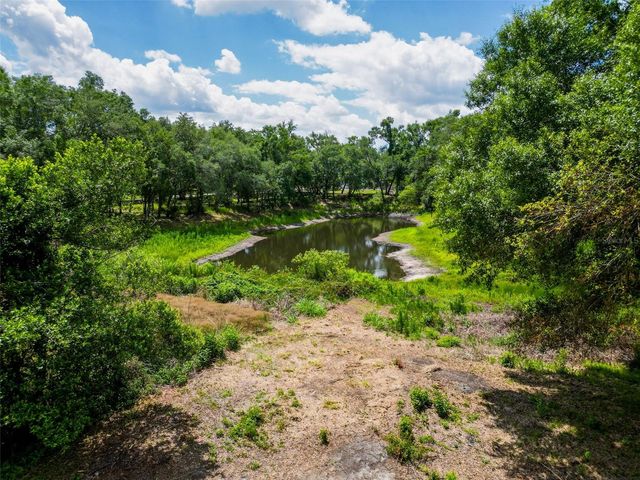 1819 SINCLAIR HILLS ROAD, Lutz, FL 33549