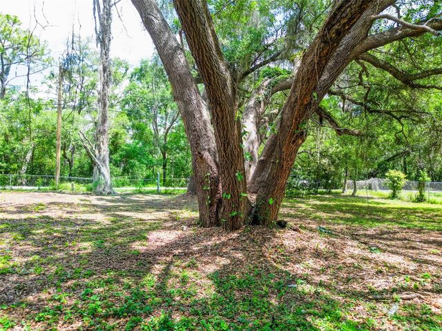1819 SINCLAIR HILLS ROAD, Lutz, FL 33549