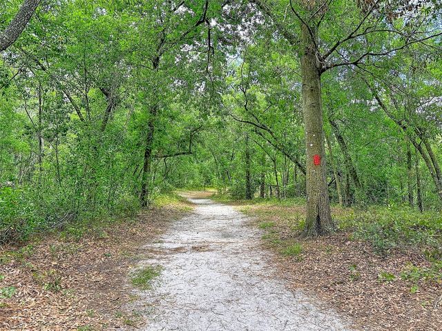 1819 SINCLAIR HILLS ROAD, Lutz, FL 33549