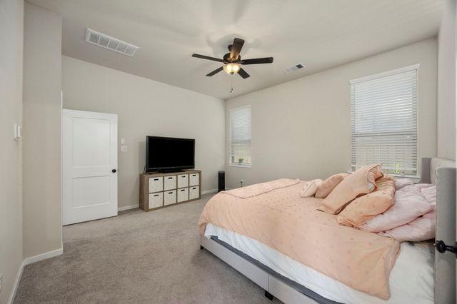 17786 Tree Of Heaven, Conroe, TX 77385