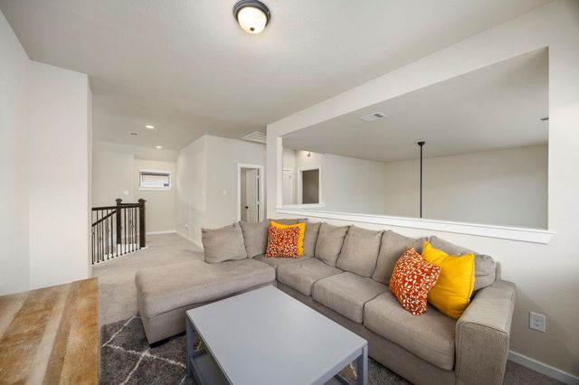 17786 Tree Of Heaven, Conroe, TX 77385