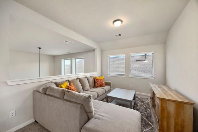 17786 Tree Of Heaven, Conroe, TX 77385
