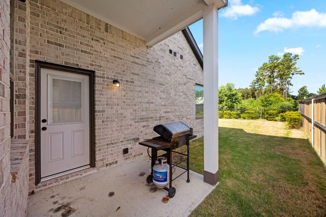 17786 Tree Of Heaven, Conroe, TX 77385