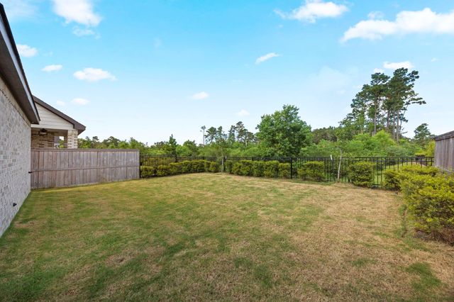 17786 Tree Of Heaven, Conroe, TX 77385