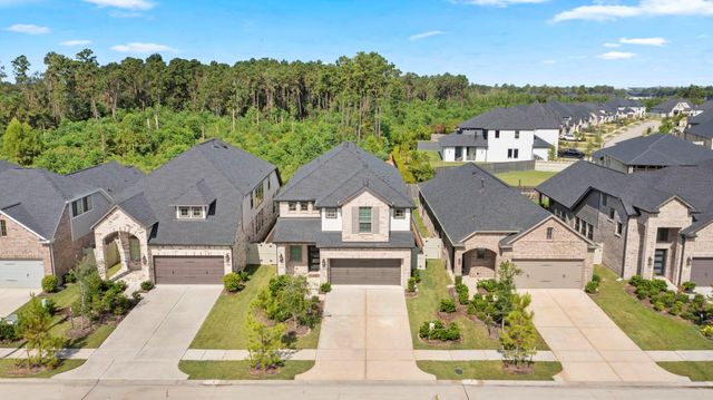 17786 Tree Of Heaven, Conroe, TX 77385
