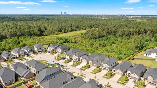 17786 Tree Of Heaven, Conroe, TX 77385