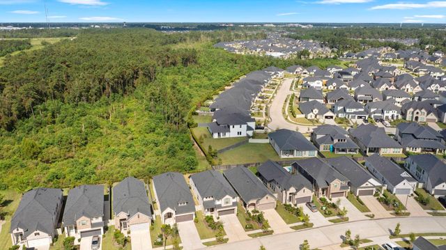 17786 Tree Of Heaven, Conroe, TX 77385